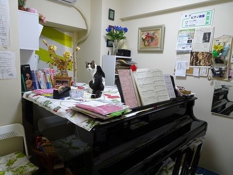 教室写真1